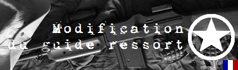 bar 1918 mod spring guide