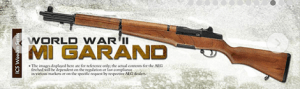 garand ics